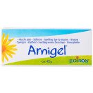 Boiron Arnigel