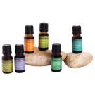 Your Most Essential Oil Bundle