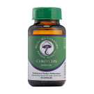 Medi Mushrooms Cordyceps Capsules