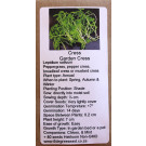6 Degrees East Heirloom Herb Seeds - Cress - Garden Cress
