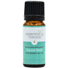 Essentially Natural Carrot Seed Pure Essential Oil