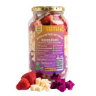 Eterna Treats Freeze Dried Mixed Fruit