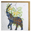 Growing Paper Elephant & Marula Greeting Card