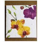 Growing Paper Orchid Mini Card