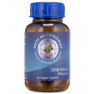 Medi Mushrooms Turkey Tail/Trametes