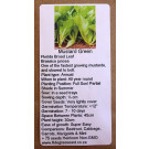 6 Degrees East Heirloom Herb Seeds - Mustard Greens - Florida Broadleaf