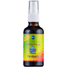 Pure Herbal Remedies Kiddies Paraherb Spray