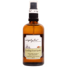 Simply Bee Cooling Foot Spritz