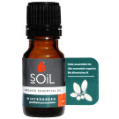 SOiL Wintergreen Essential Oil