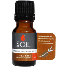SOiL Tea Tree Essential Oil
