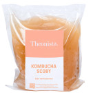 Theonista Scoby