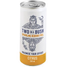 Two in a Bush Sparkling Rooibos Citrus Infused