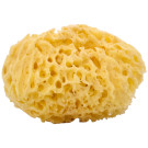 Woman-Kind Natural Honey Comb Bath Sponge, Large