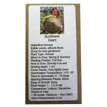 6 Degrees East Heirloom Flower Seeds - Sunflower - Giant