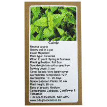 6 Degrees East Heirloom Herb Seeds - Catnip