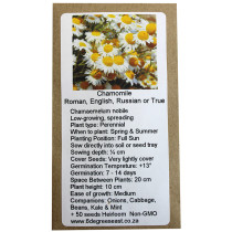 6 Degrees East Heirloom Herb Seeds - Chamomile - Roman Chamomile