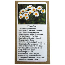 6 Degrees East Heirloom Herb Seeds - Feverfew - Tanacetum Parthenium