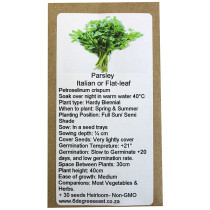 6 Degrees East Heirloom Herb Seeds - Parsley - Italian Plain Flat Leaf