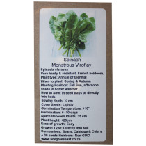 6 Degrees East Heirloom Veg Seeds - Spinach - Monstrous Viroflay