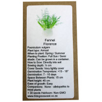 6 degrees east Herloom Herb Seeds - Fennel -Florence