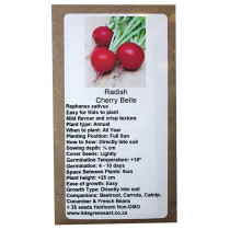 6 Degrees East Heirloom - Radish - Cherry Belle