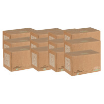 ANNA Sanitary Pads  x 12