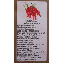 6 Degrees East Heirloom Veg Seeds - Chilli - Malagueta (Birds Eye)