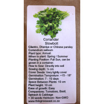 6 degrees east Herloom Herb Seeds - Coriander - Slow Bolt