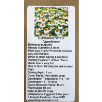 6 Degrees East Heirloom Flower Seeds - Echineacea - White