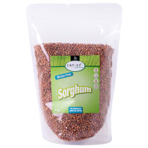 Entice Sorghum
