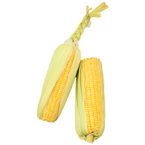 Sandveld Seeds Golden Bantam Maize - Sweet Corn