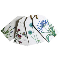 Growing Paper Blue In The Garden Tags 