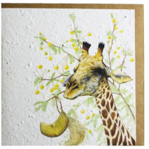Growing Paper Giraffe with Camel Thorn Greeting Card