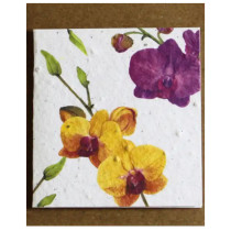 Growing Paper Orchid Mini Card