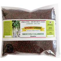 Kitchen Garden Broccoli Seeds for Sprouting