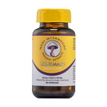 Medi Mushrooms Lion's Mane Organic Extract Capsules