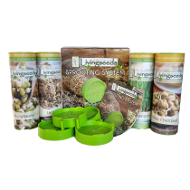 Living Seeds Sprouting System