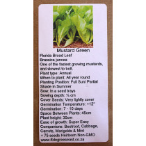 6 Degrees East Heirloom Herb Seeds - Mustard Greens - Florida Broadleaf