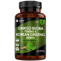 New Leaf Gingko Biloba & Korean Ginseng (360 Tablets)