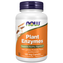 Now Foods Plant Enzymes Digestion Aid 