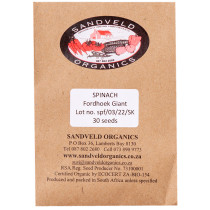 Sandveld Seeds Spinach Fordhoek Giant alike