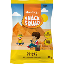 Snack Squad: Fruit Bricks - Multi Flavoured