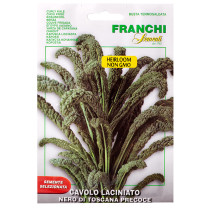 Franchi Semeni Nero di Toscana Curly Kale