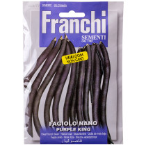 Franchi Sementi Purple King Dwarf Bean