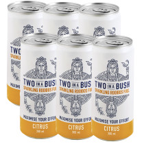 Two in a Bush Sparkling Rooibos Citrus Infused 