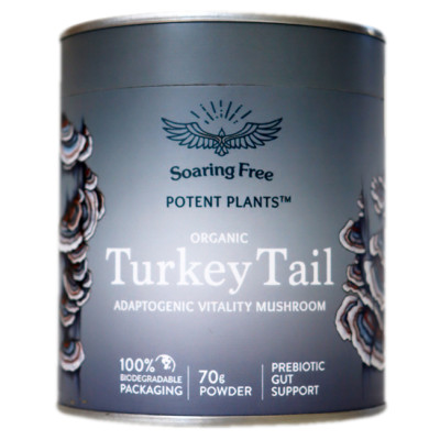 Buy Soaring Free Turkey Tail Powder Online | Faithful to Nature