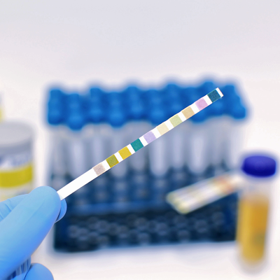 Test-it 10 Urine Test strips main image 1