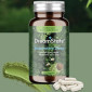 DreamState Restorative Sleep