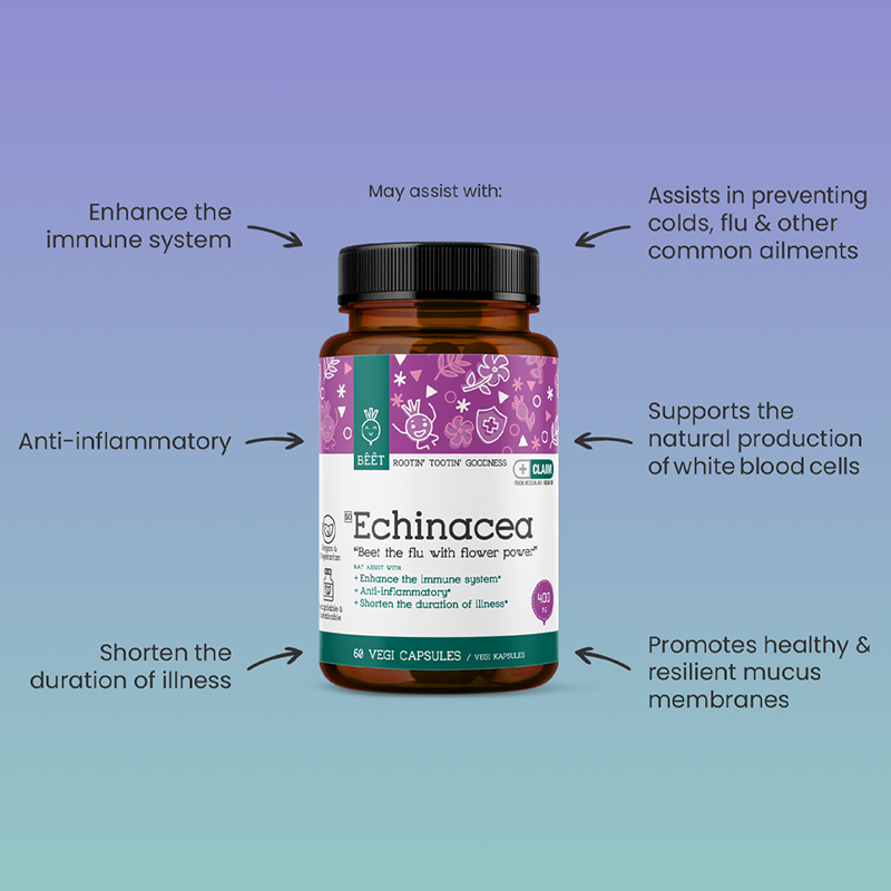 Buy Beet Goodness Echinacea Online | Faithful to Nature