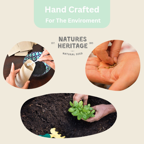 Generics the Earth 151cm RYZ バインディング　セット Buy Natures Heritage 14 Variety Herb Seed Box Online | Faithful to